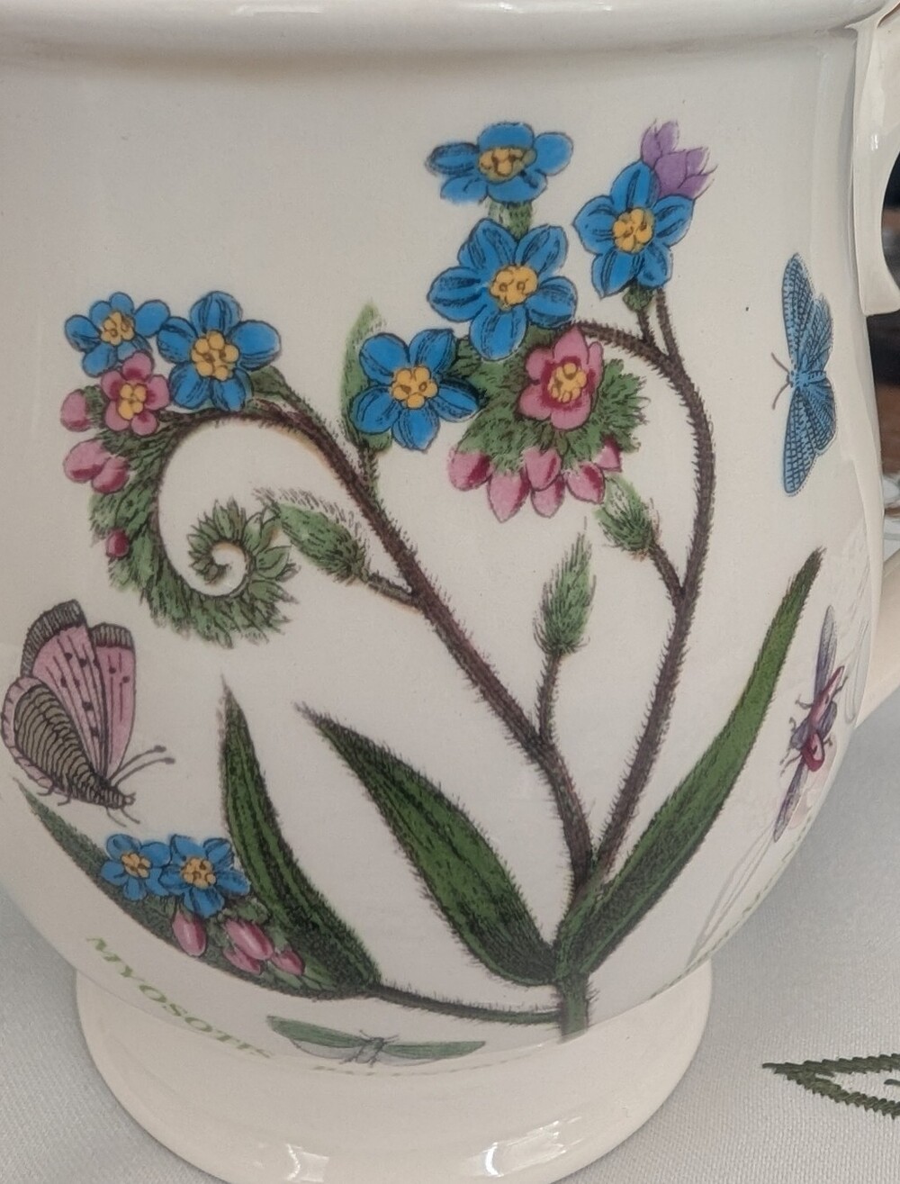 British Portmeirion Bristol "Botanic Garden" Mug Blue Forget Me Nots Butterflies